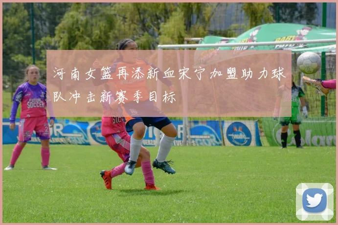 河南女篮再添新血宋宁加盟助力球队冲击新赛季目标