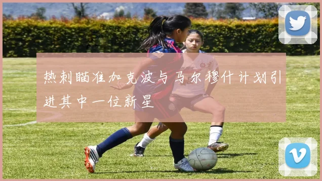 热刺瞄准加克波与马尔穆什计划引进其中一位新星